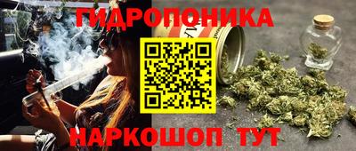 мяу мяу кристалл Аша